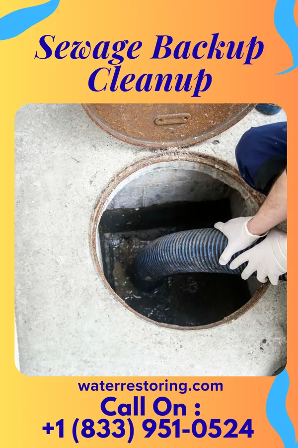 Sewage Backup Cleanup in Cottonwood, AL